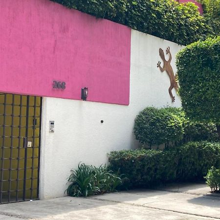 Hostal Cuija Coyoacan Berlin 268 Coyoacan Kota Meksiko Bagian luar foto