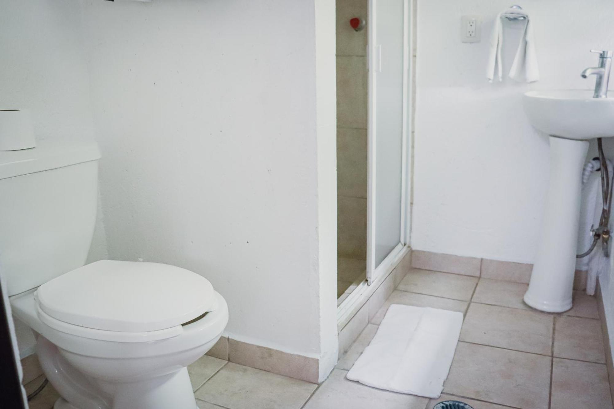 Hostal Cuija Coyoacan Berlin 268 Coyoacan Kota Meksiko Bagian luar foto