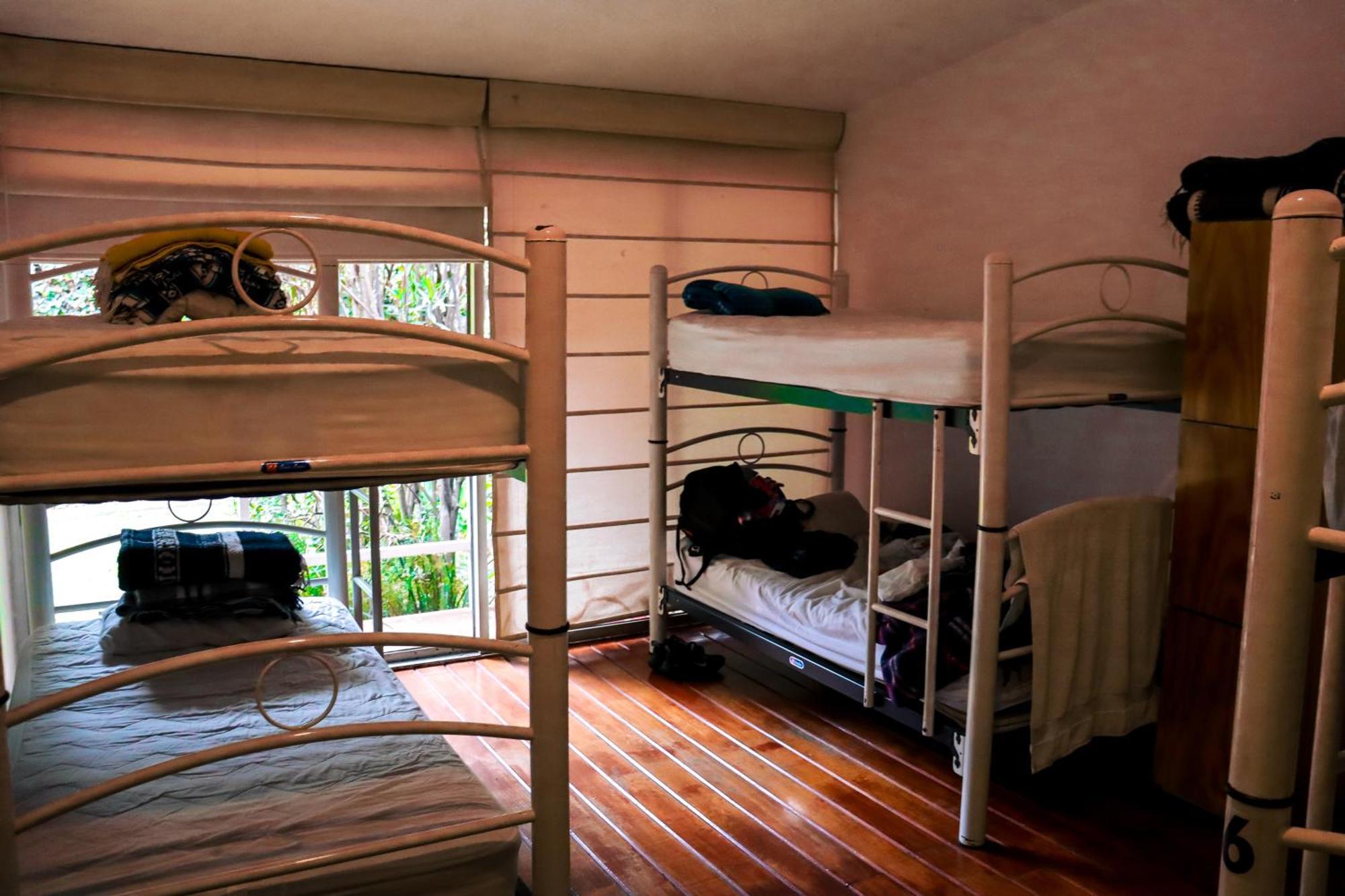 Hostal Cuija Coyoacan Berlin 268 Coyoacan Kota Meksiko Bagian luar foto