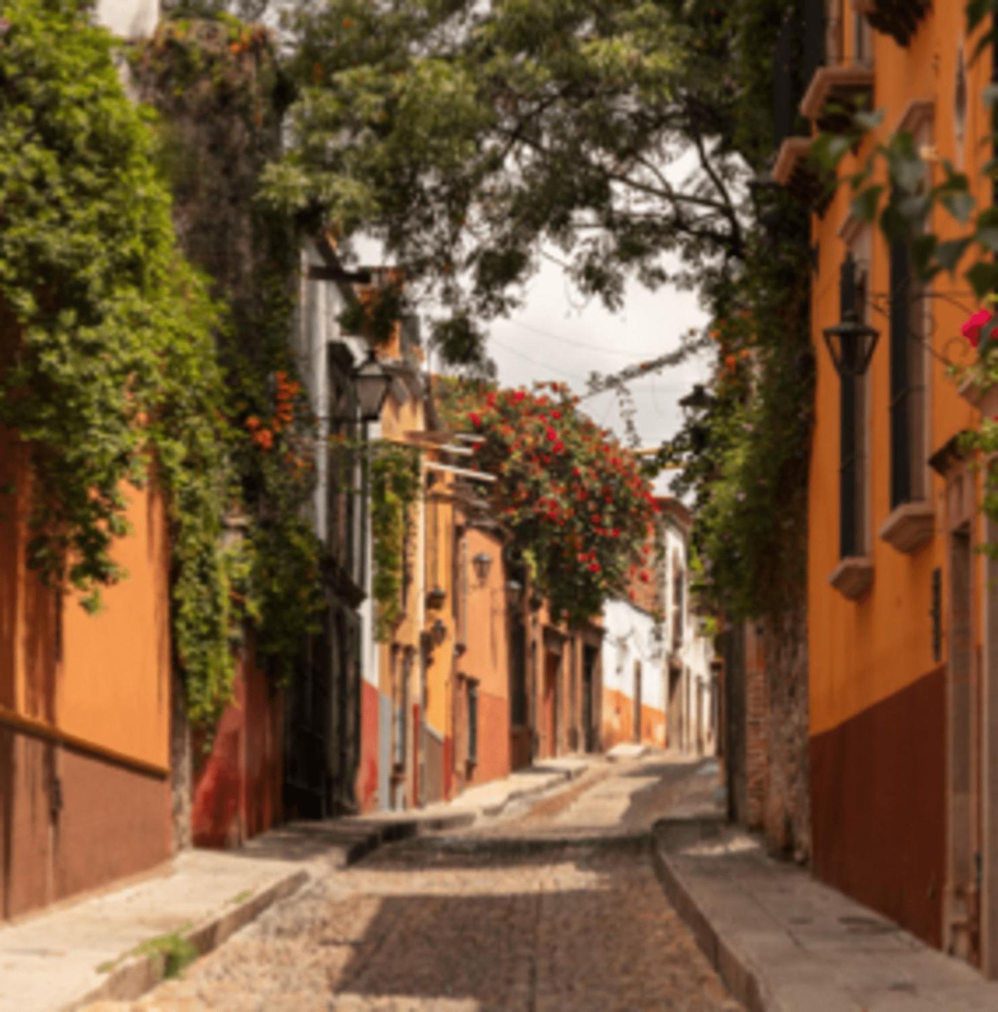 Hostal Cuija Coyoacan Berlin 268 Coyoacan Kota Meksiko Bagian luar foto